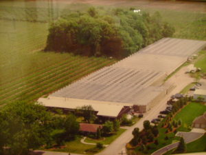 Our Original Greenhouse