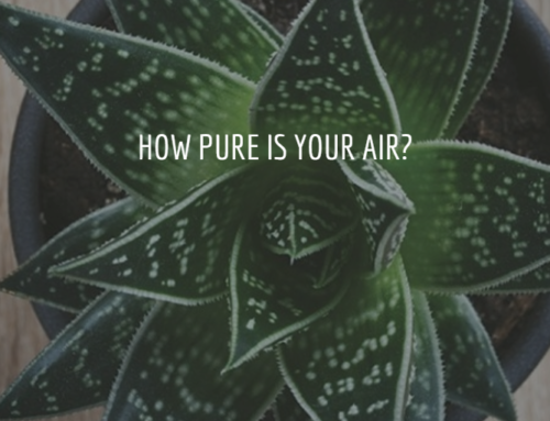 How Pure Is Your Air?